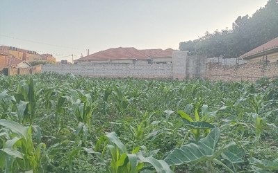Land for sale