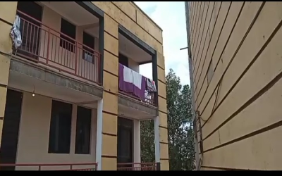 Flat and apartment